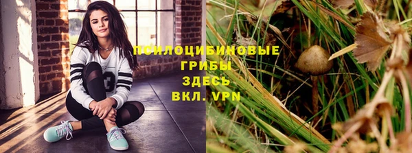 хмурый Абинск
