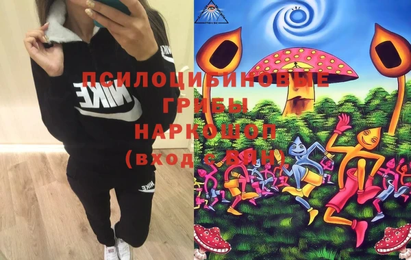 хмурый Абинск