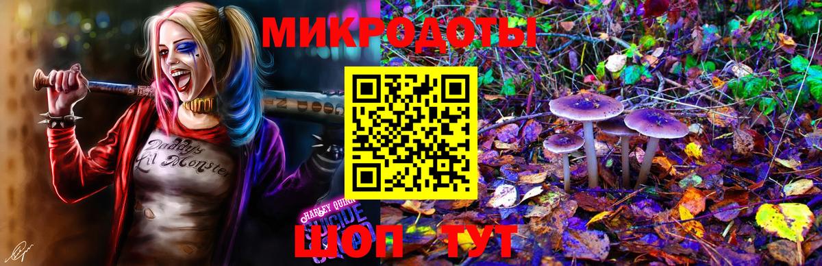 Галлюциногенные грибы мицелий Азнакаево