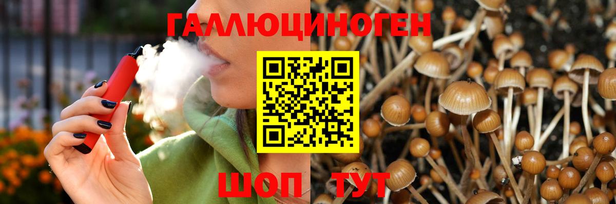 Псилоцибиновые грибы мухоморы  Галлюциногенные грибы Psilocybine cubensis  Азнакаево  Вход с VPN 